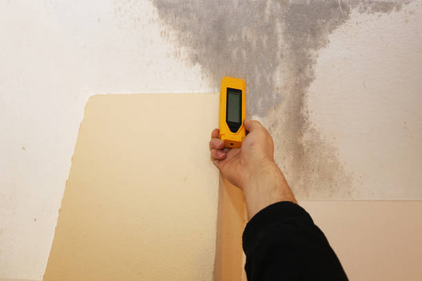 Best Post-Construction Mold Inspection  in Aristocrat Ranchettes, CO