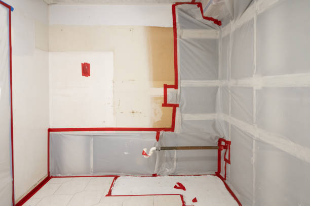 Best Real Estate Mold Inspection  in Aristocrat Ranchettes, CO