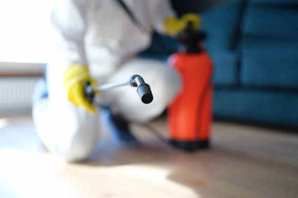 Best Industrial Mold Remediation  in Aristocrat Ranchettes, CO
