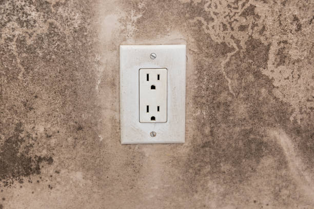 Best Attic Mold Removal  in Aristocrat Ranchettes, CO
