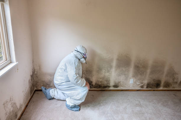 Best HVAC Mold Inspection and Cleaning  in Aristocrat Ranchettes, CO