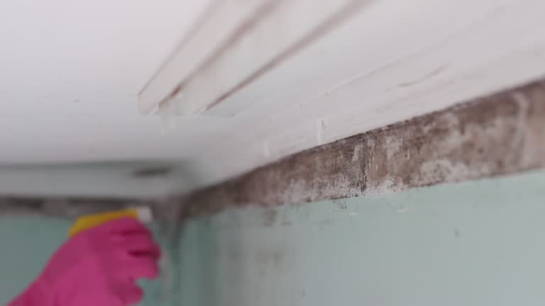 Best Air Quality Testing for Mold Spores  in Aristocrat Ranchettes, CO
